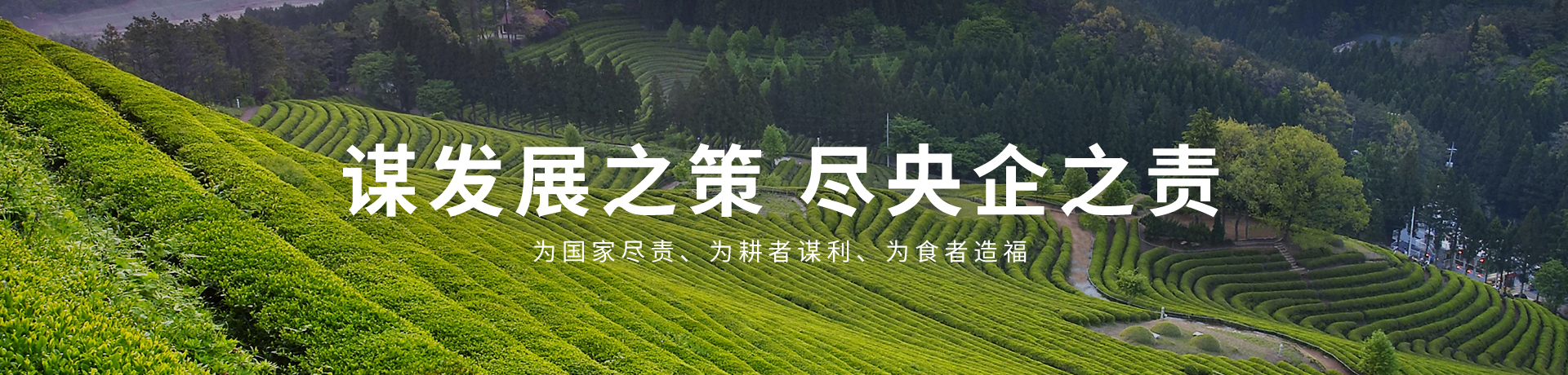 菲律宾欧博(ABG)官方网站